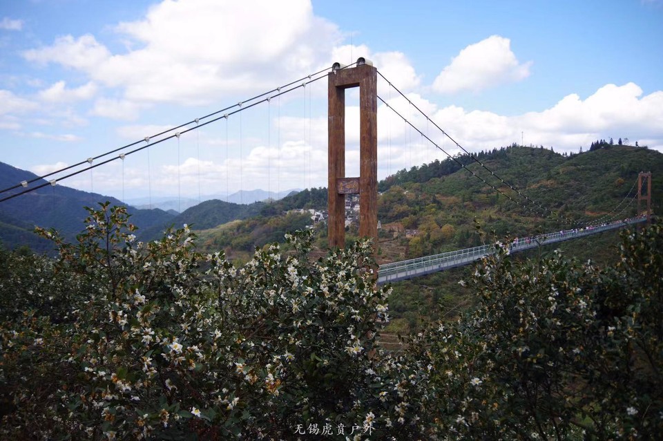 微信图片_20191124184513