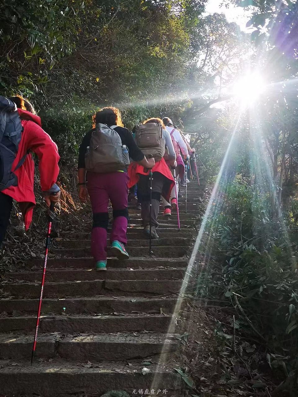 微信图片_20191124184534