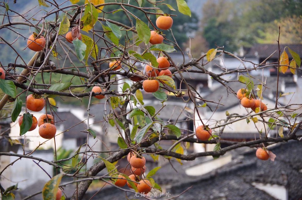 微信图片_20191124184542