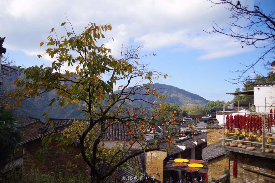 微信图片_20191124184545