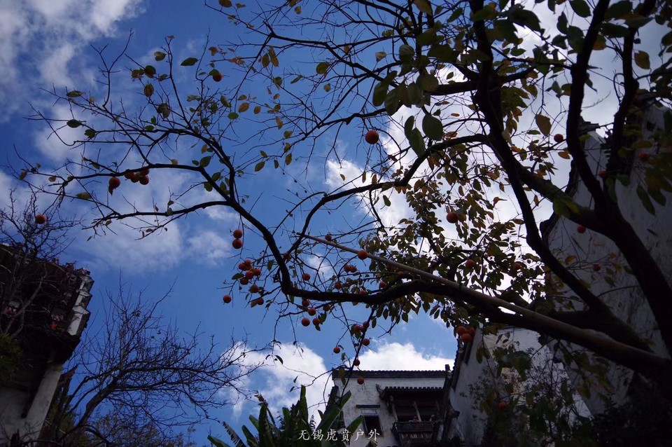 微信图片_20191124184548