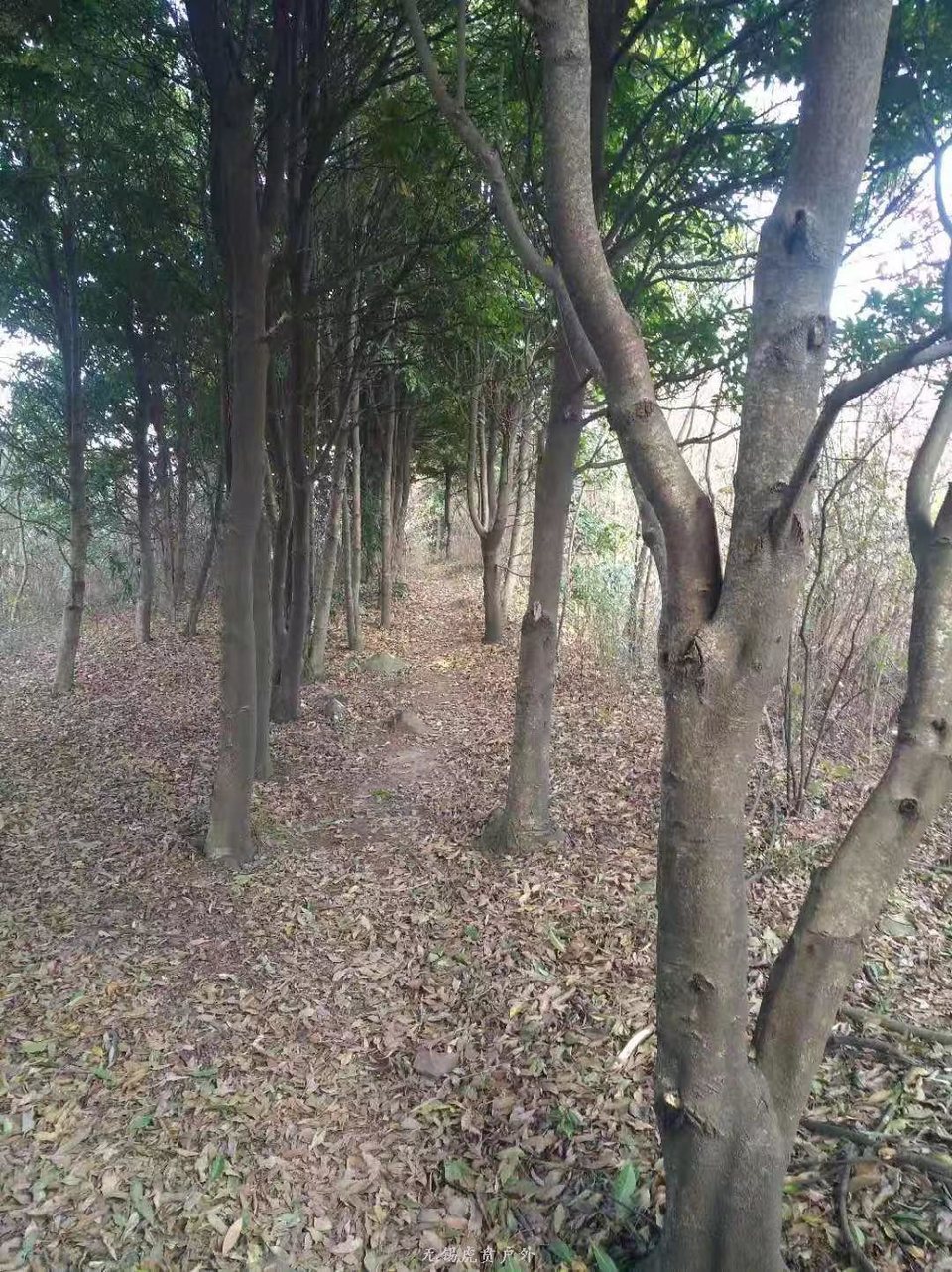 微信图片_20191208191605