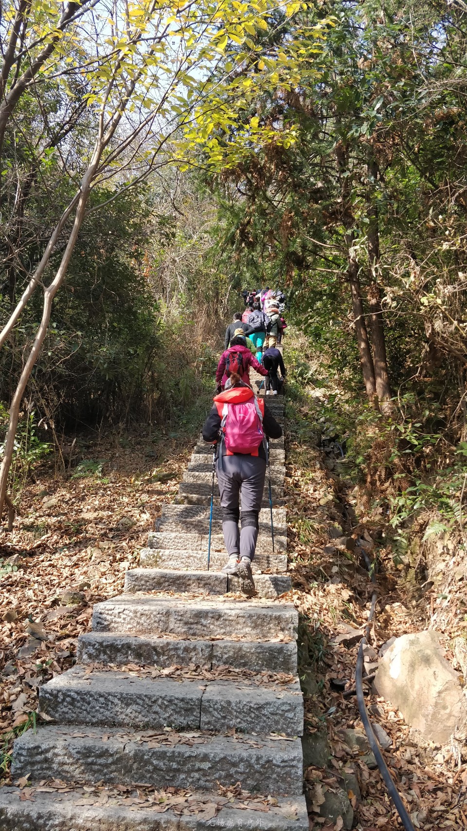 微信图片_20191208193230