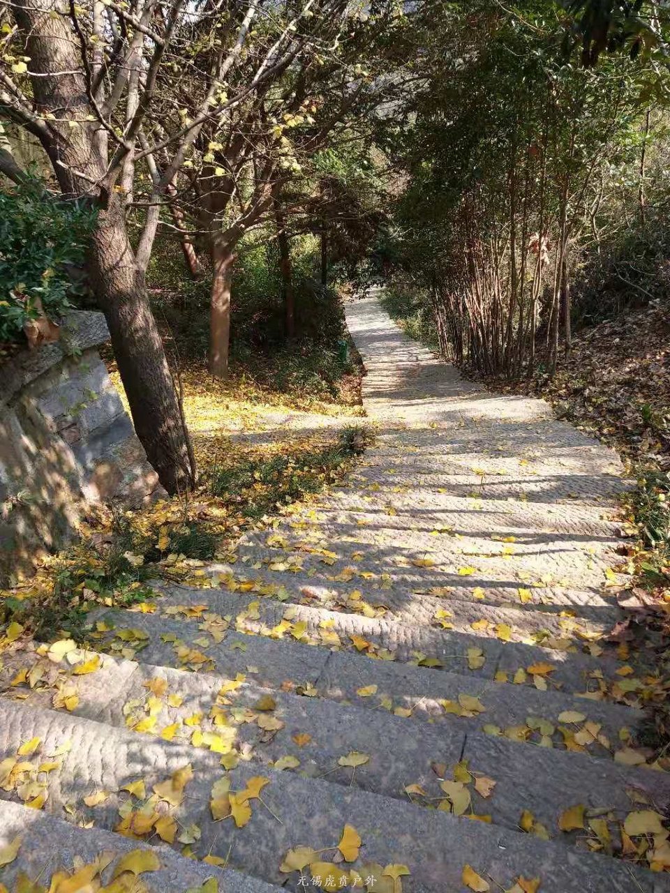 微信图片_20191208194142