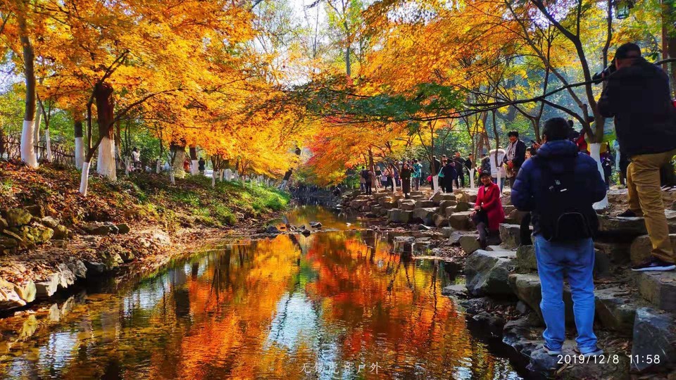 微信图片_20191208183839