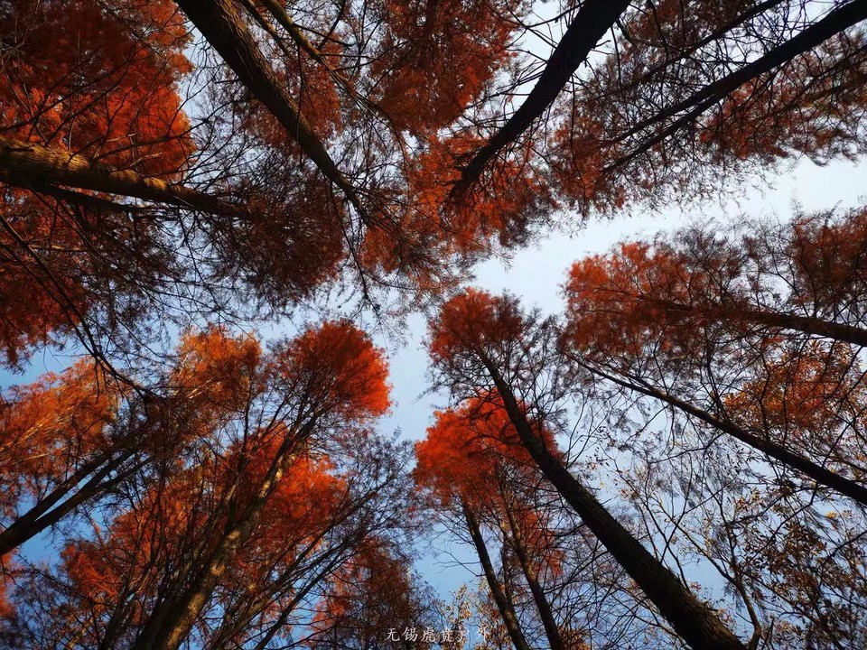 微信图片_20191208193433