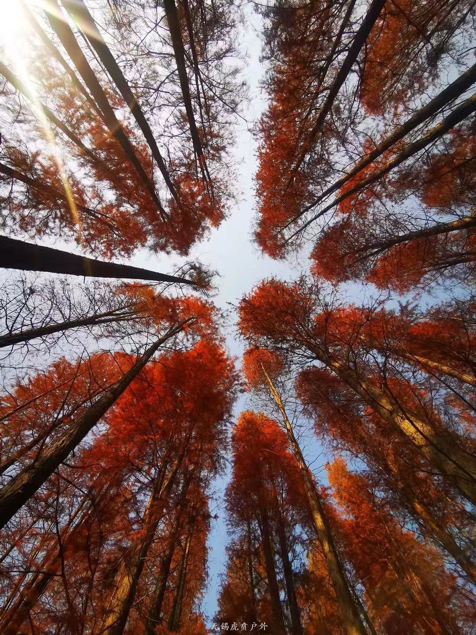 微信图片_20191208193436