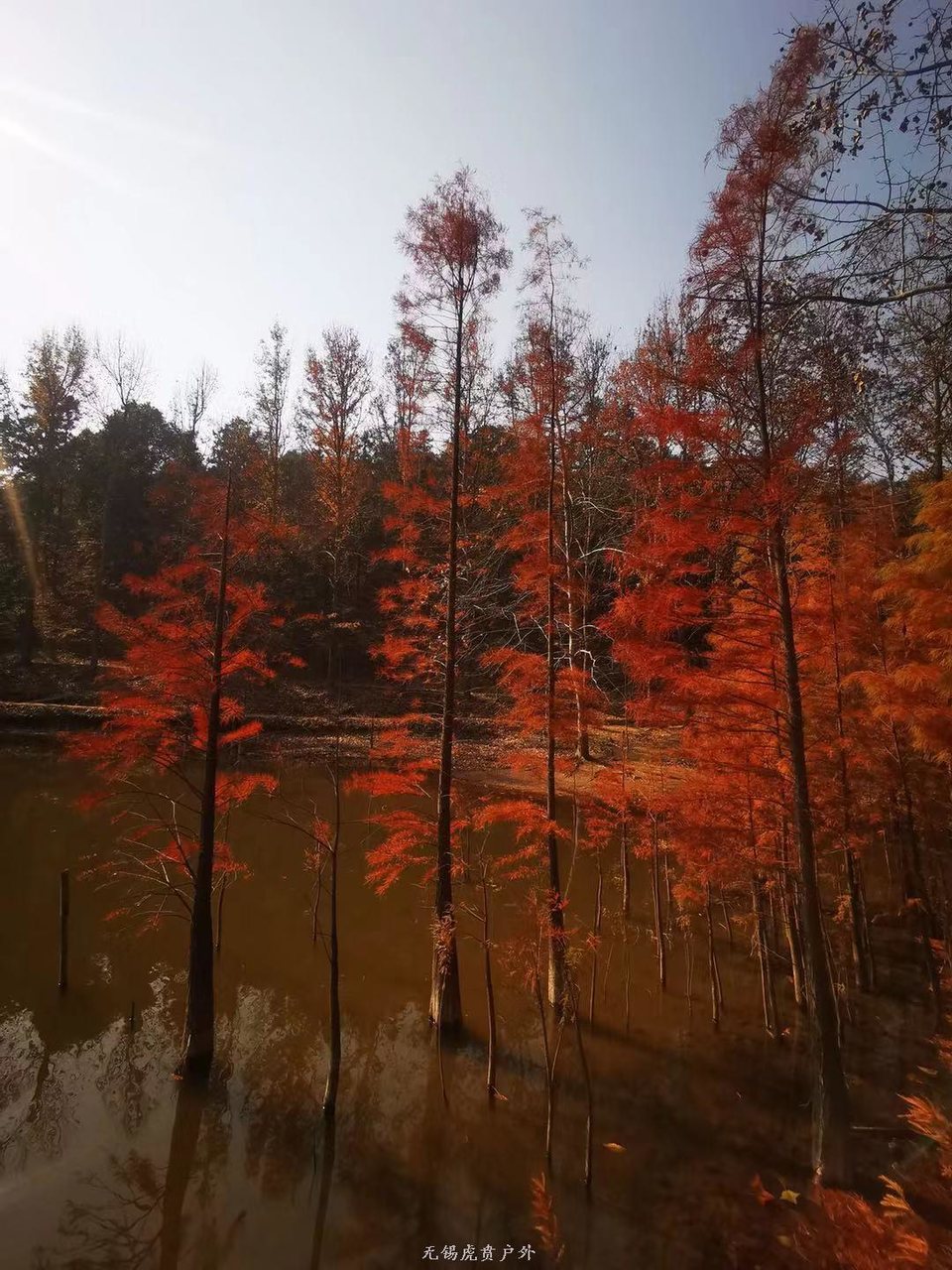 微信图片_20191208193440