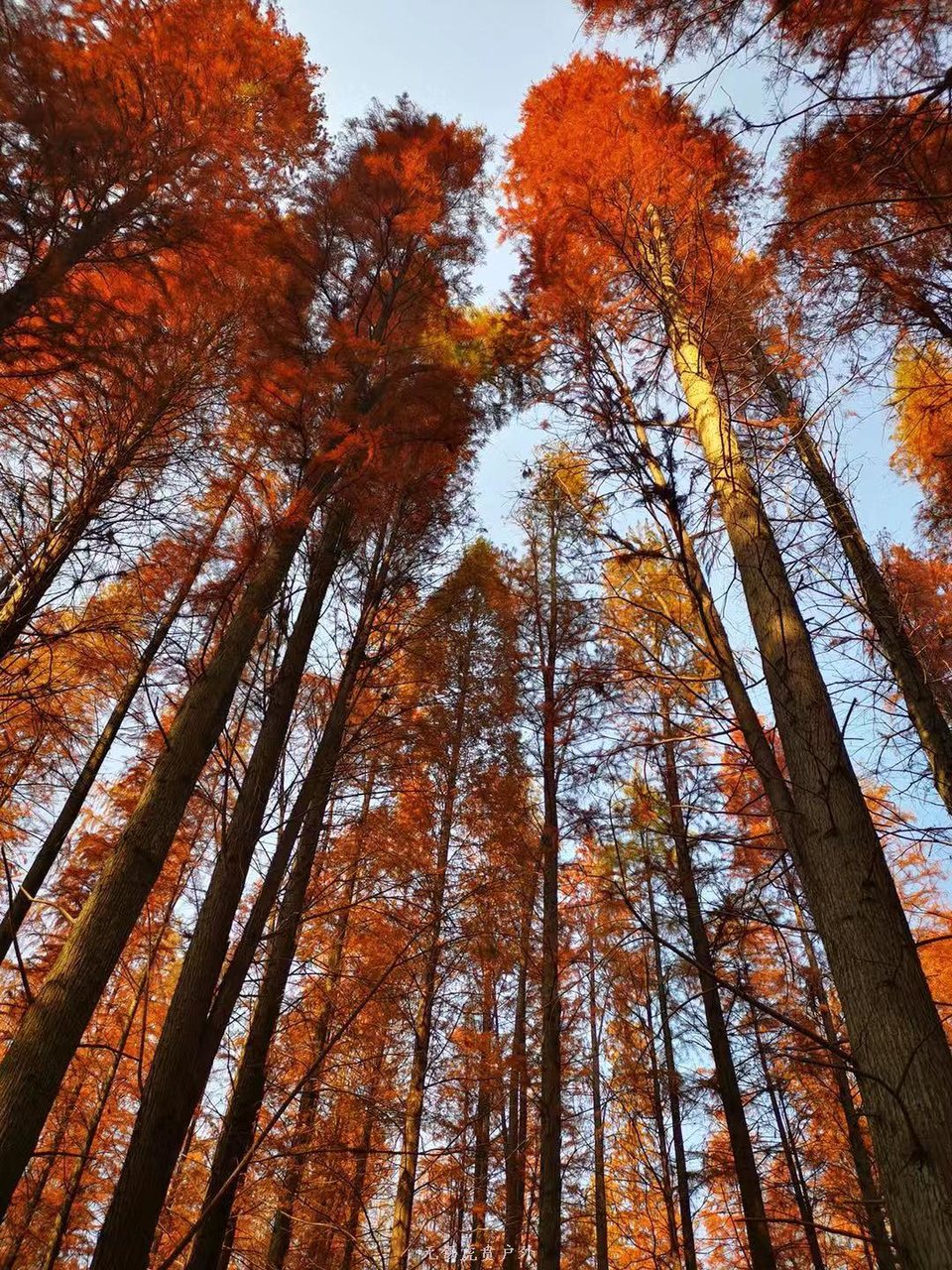 微信图片_20191208193449