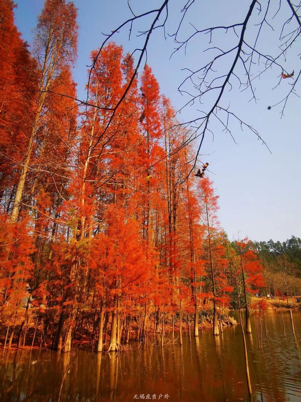 微信图片_20191208193453