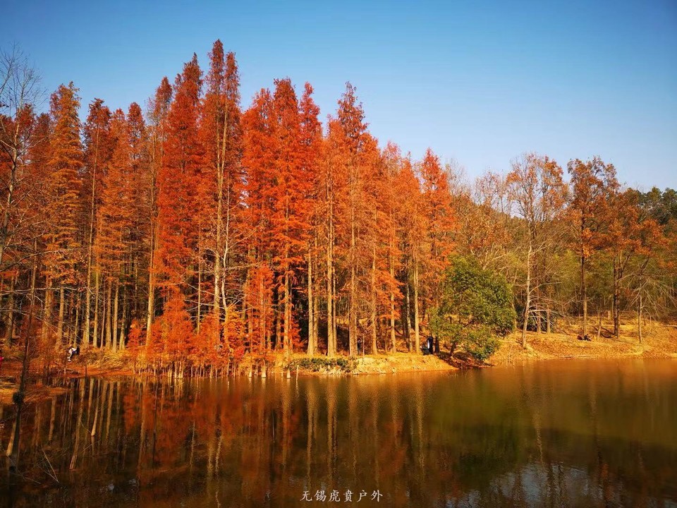 微信图片_20191208193456