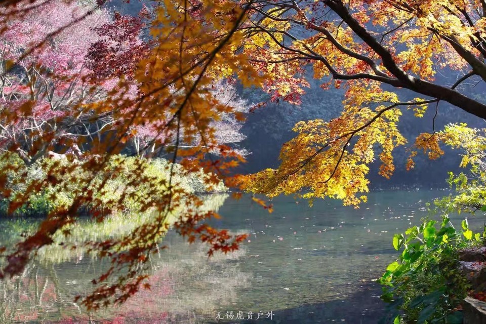 微信图片_20191208193526