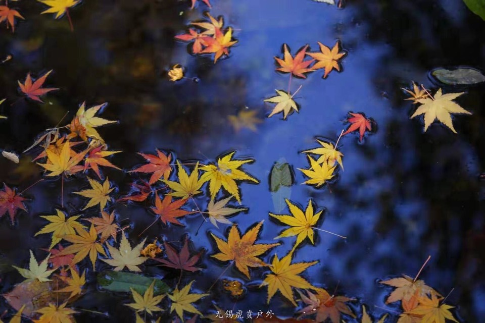 微信图片_20191208193529