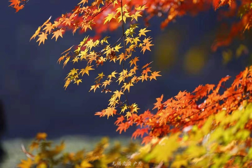 微信图片_20191208193533