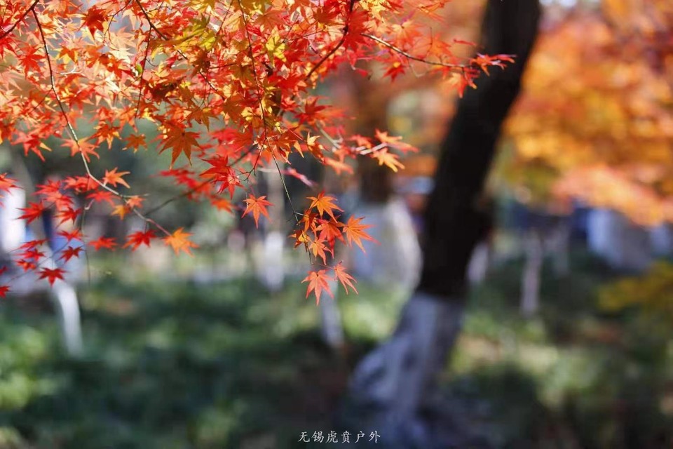 微信图片_20191208193536