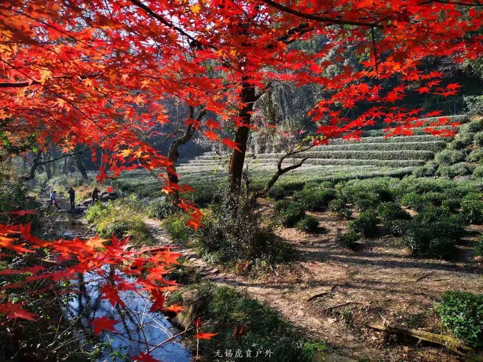 微信图片_20191209095355