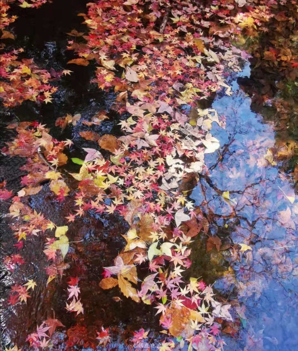 微信图片_20191209095400