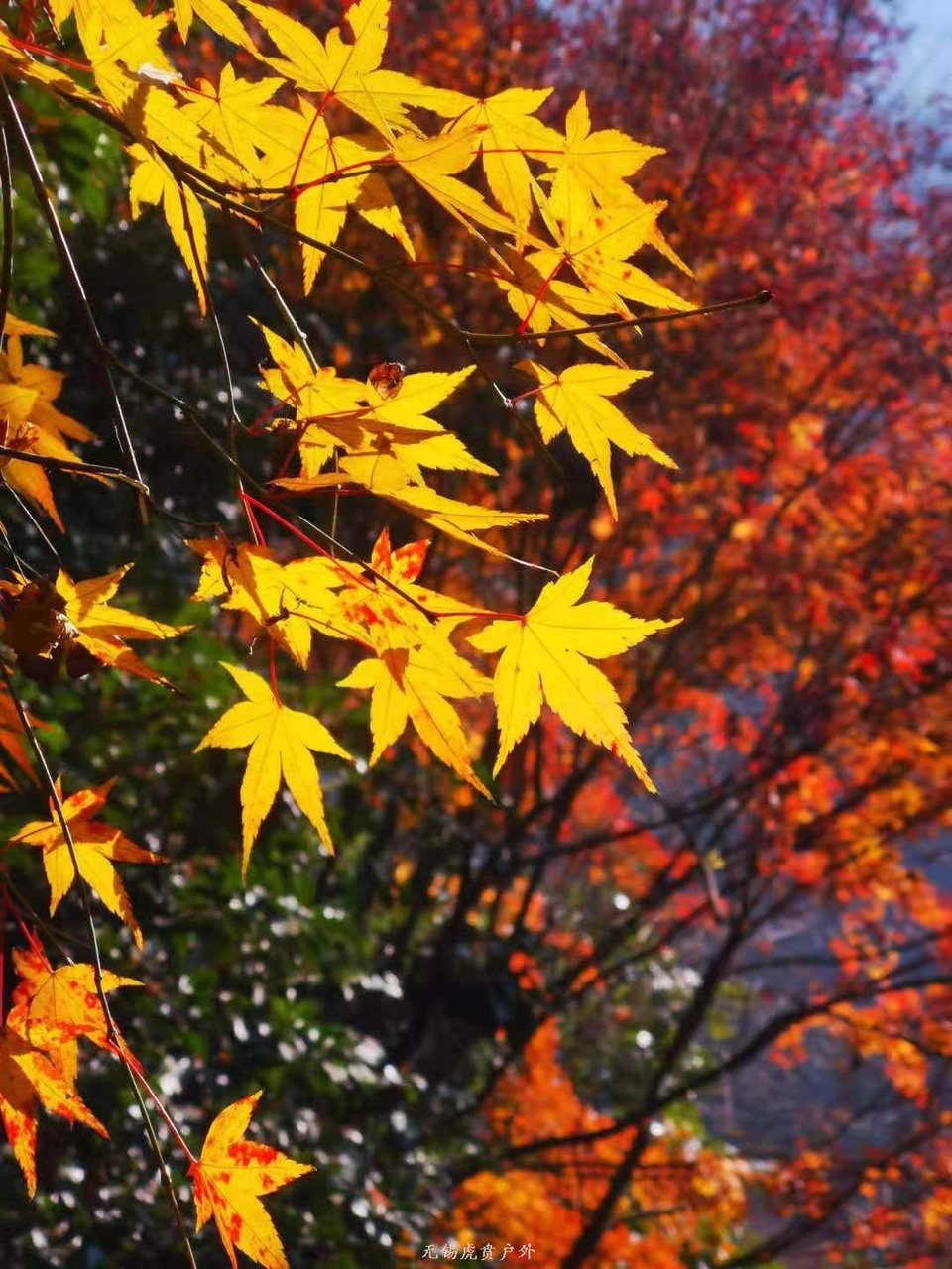 微信图片_20191209095403