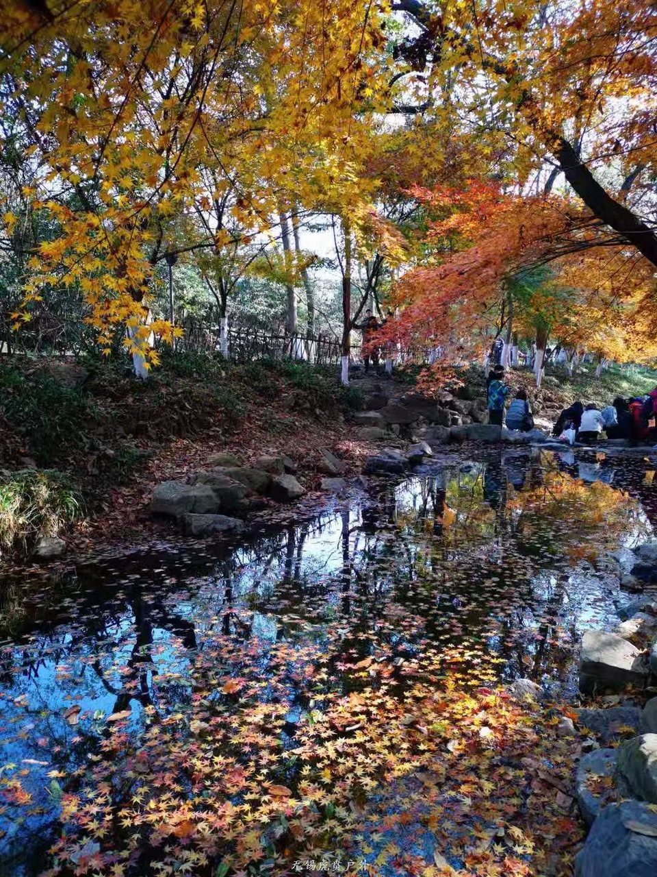 微信图片_20191209095406