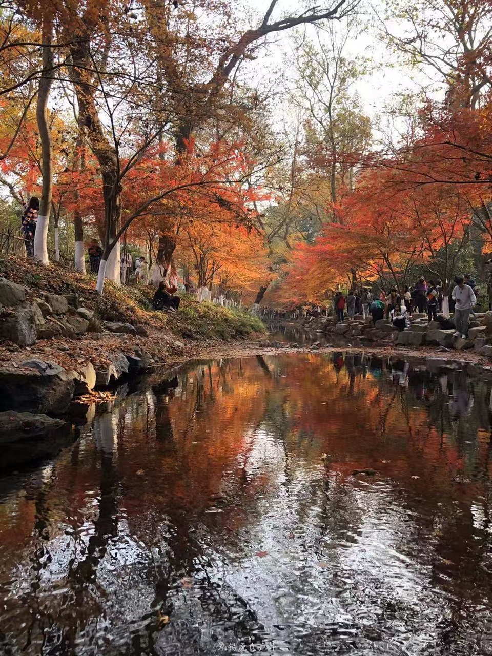 微信图片_20191215220924