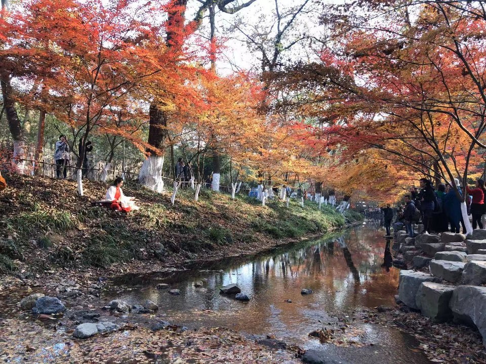 微信图片_20191215220928