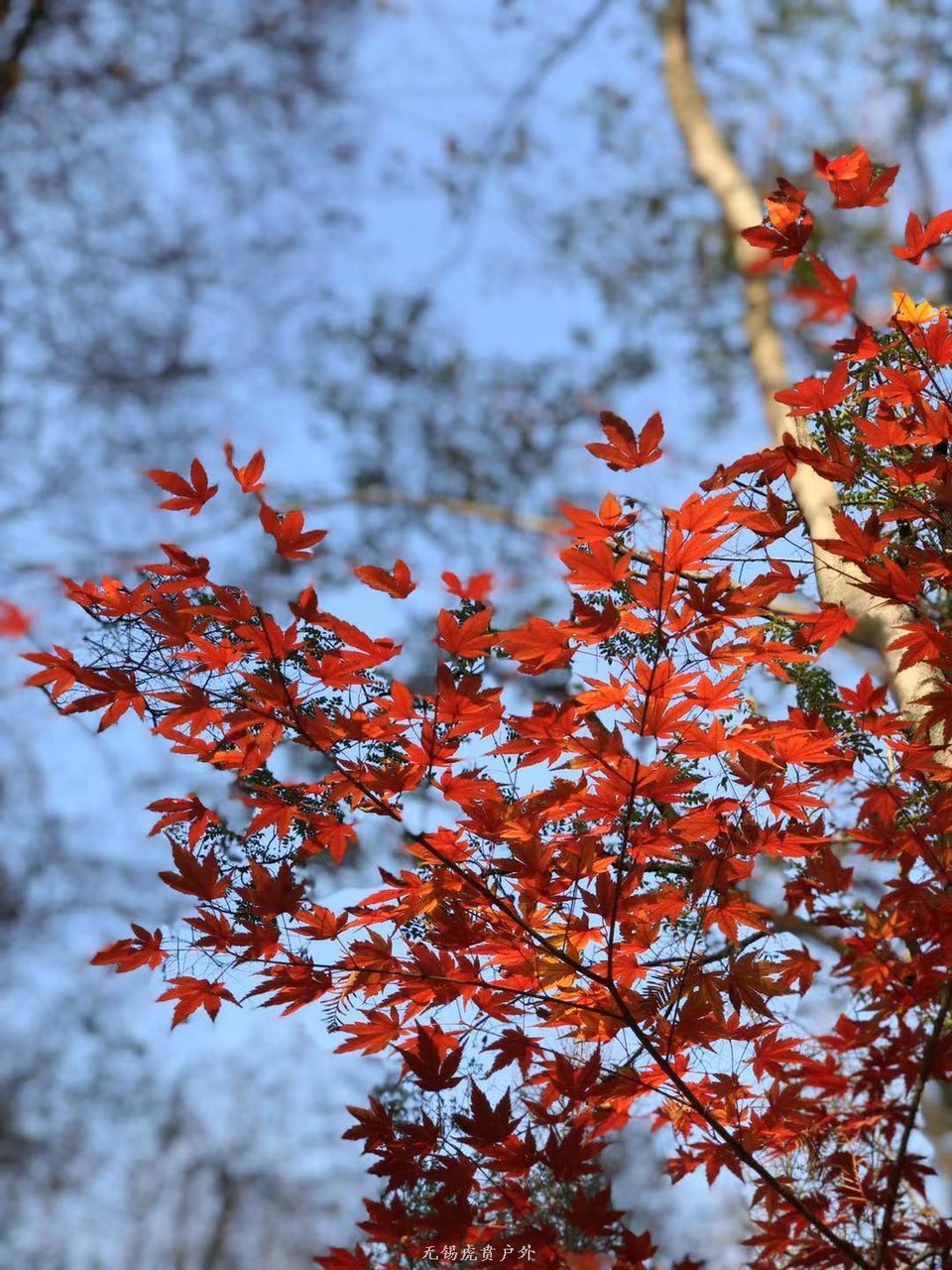 微信图片_20191215220938