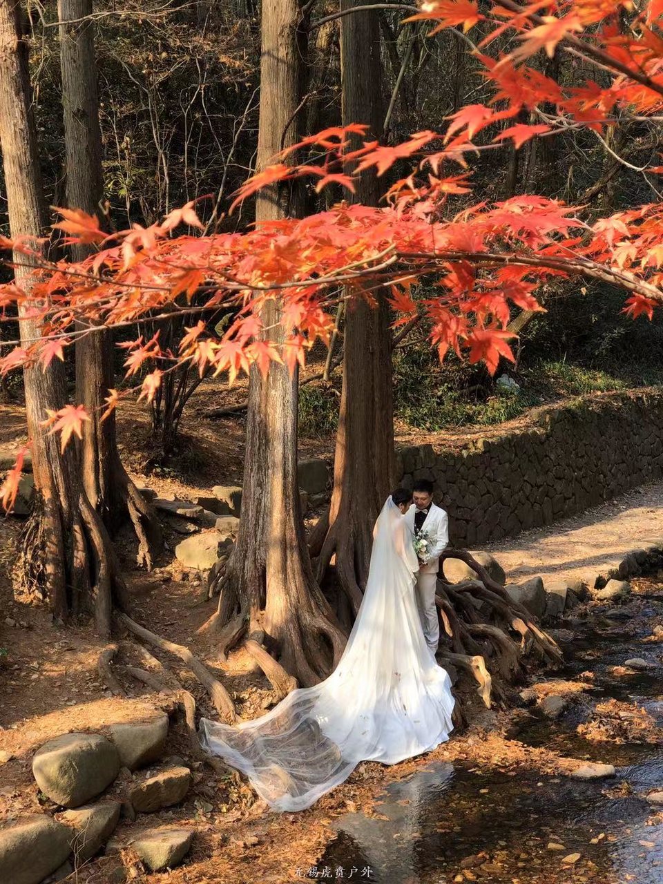 微信图片_20191215220941