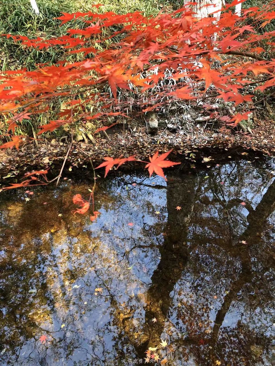 微信图片_20191215220946