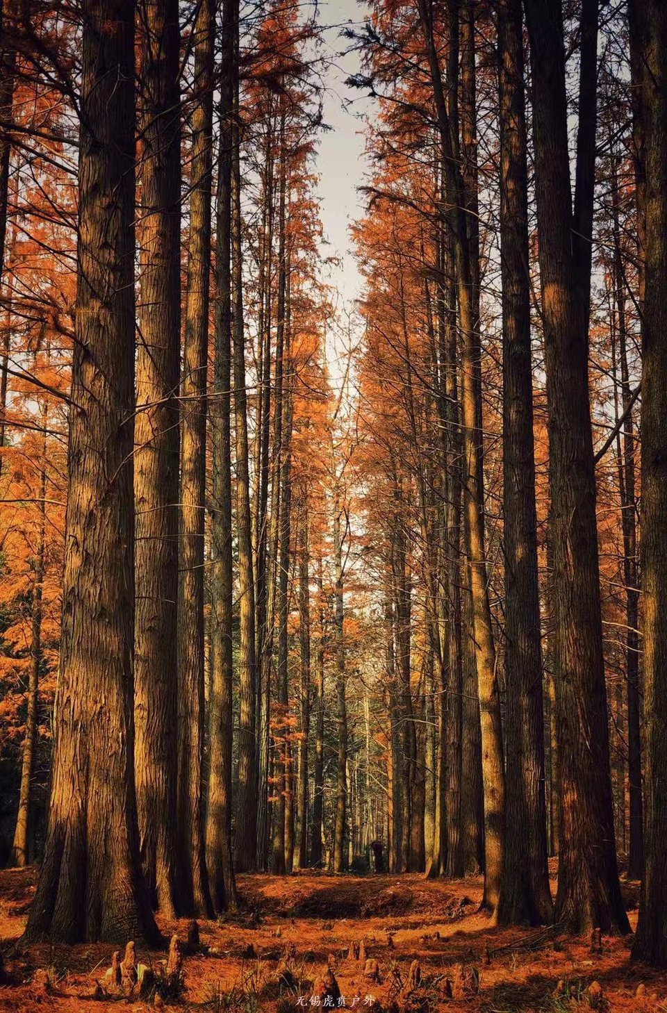 微信图片_20191215220957