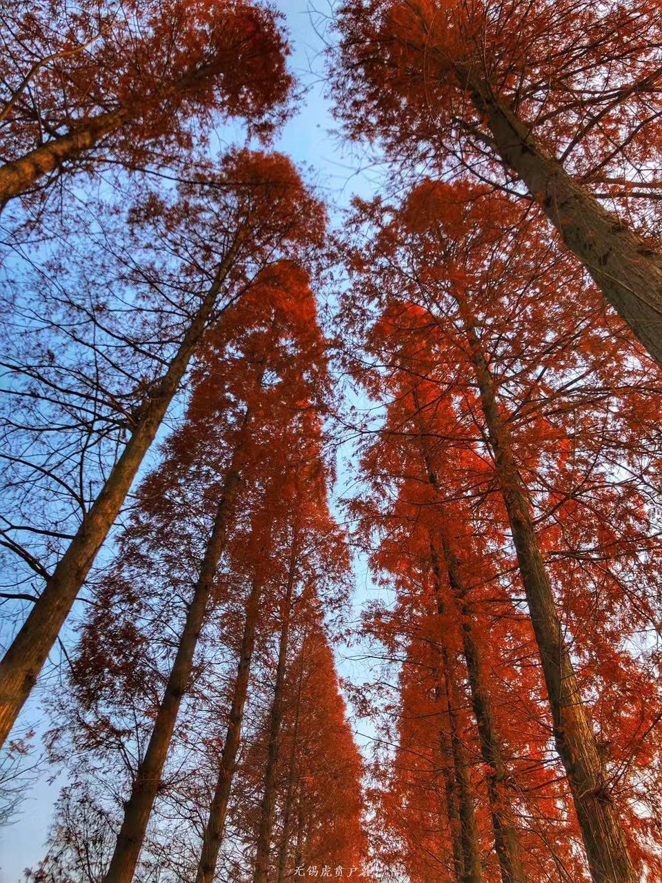 微信图片_20191215221001