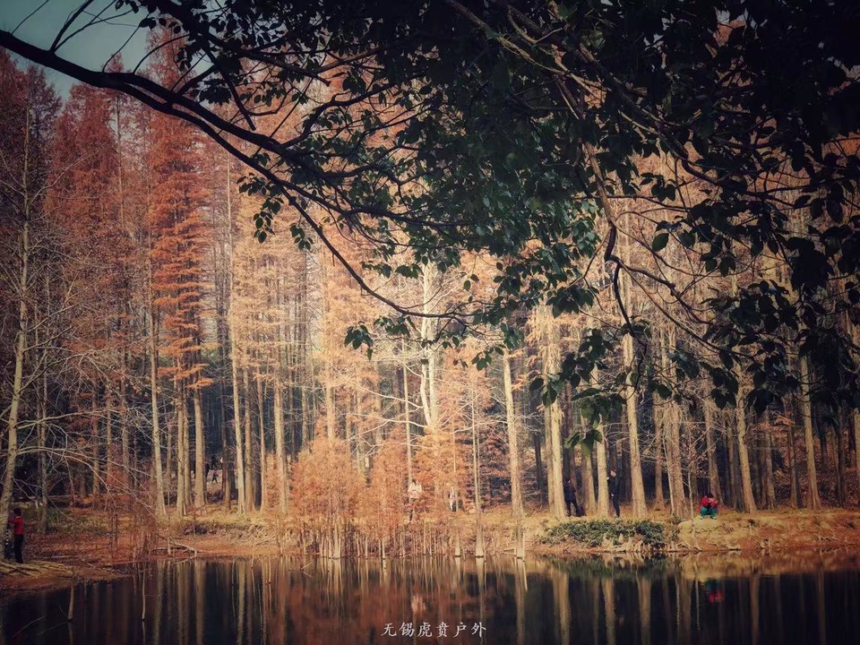 微信图片_20191215221005