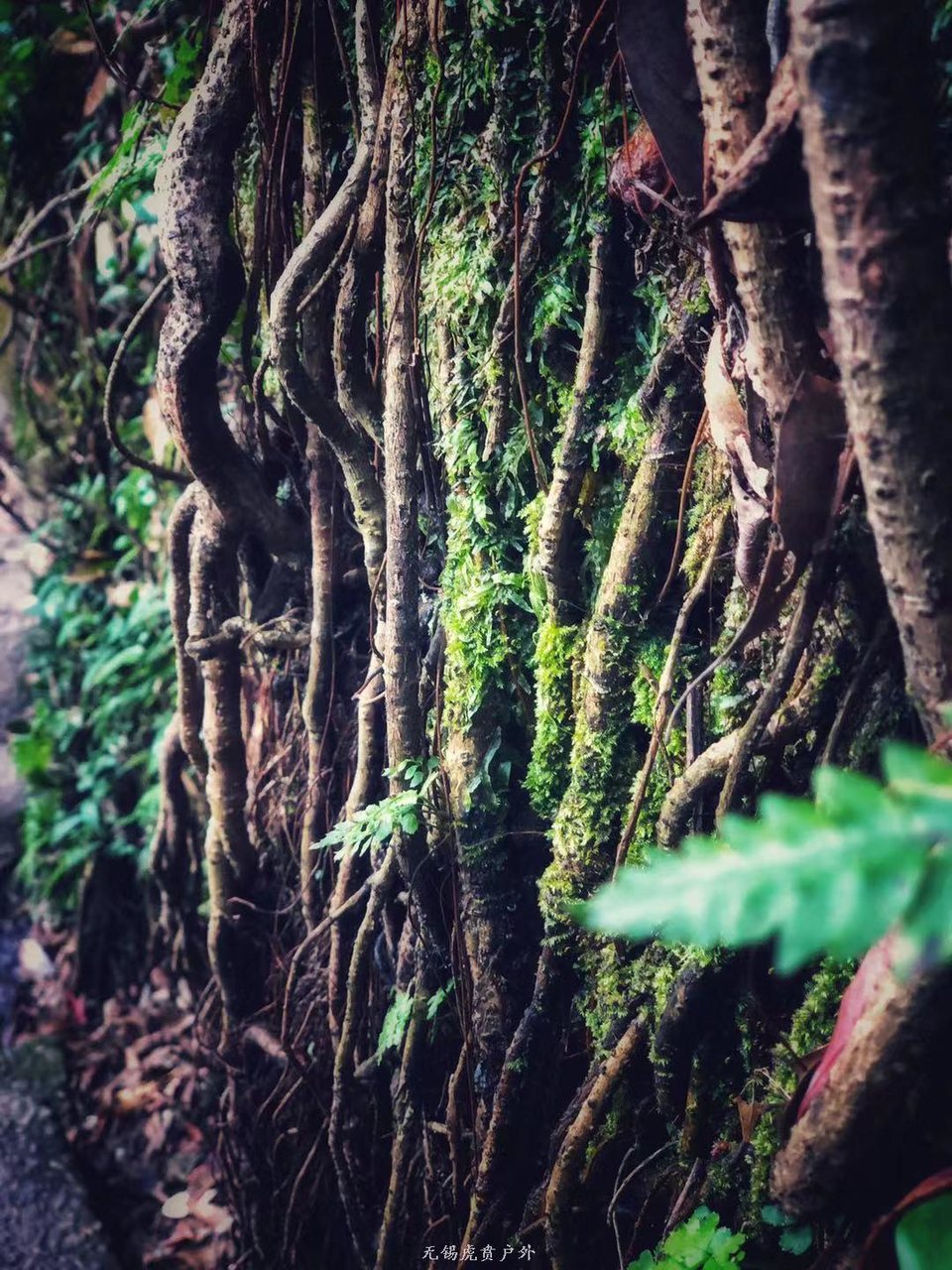 微信图片_20191215221026