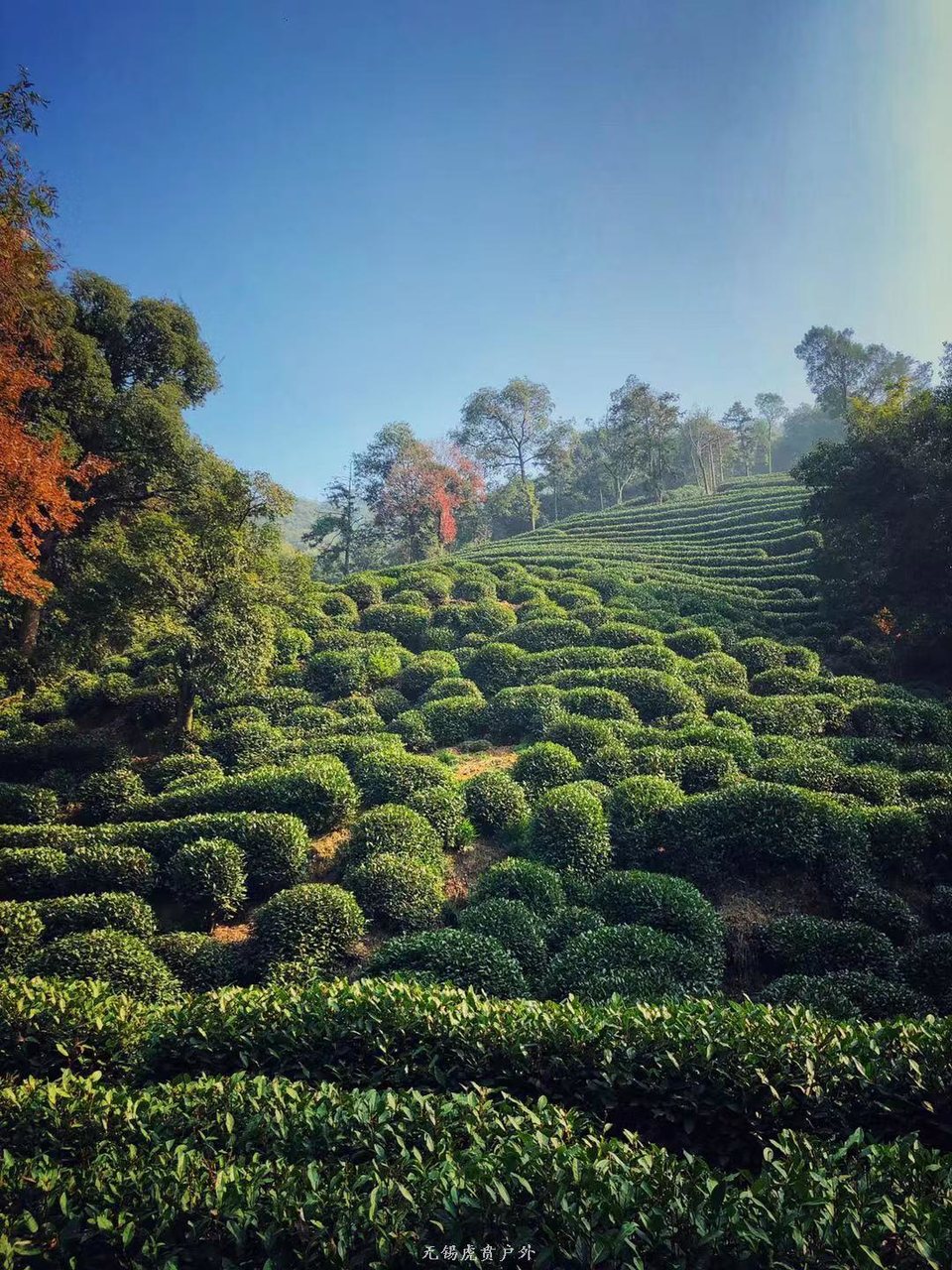 微信图片_20191215221030