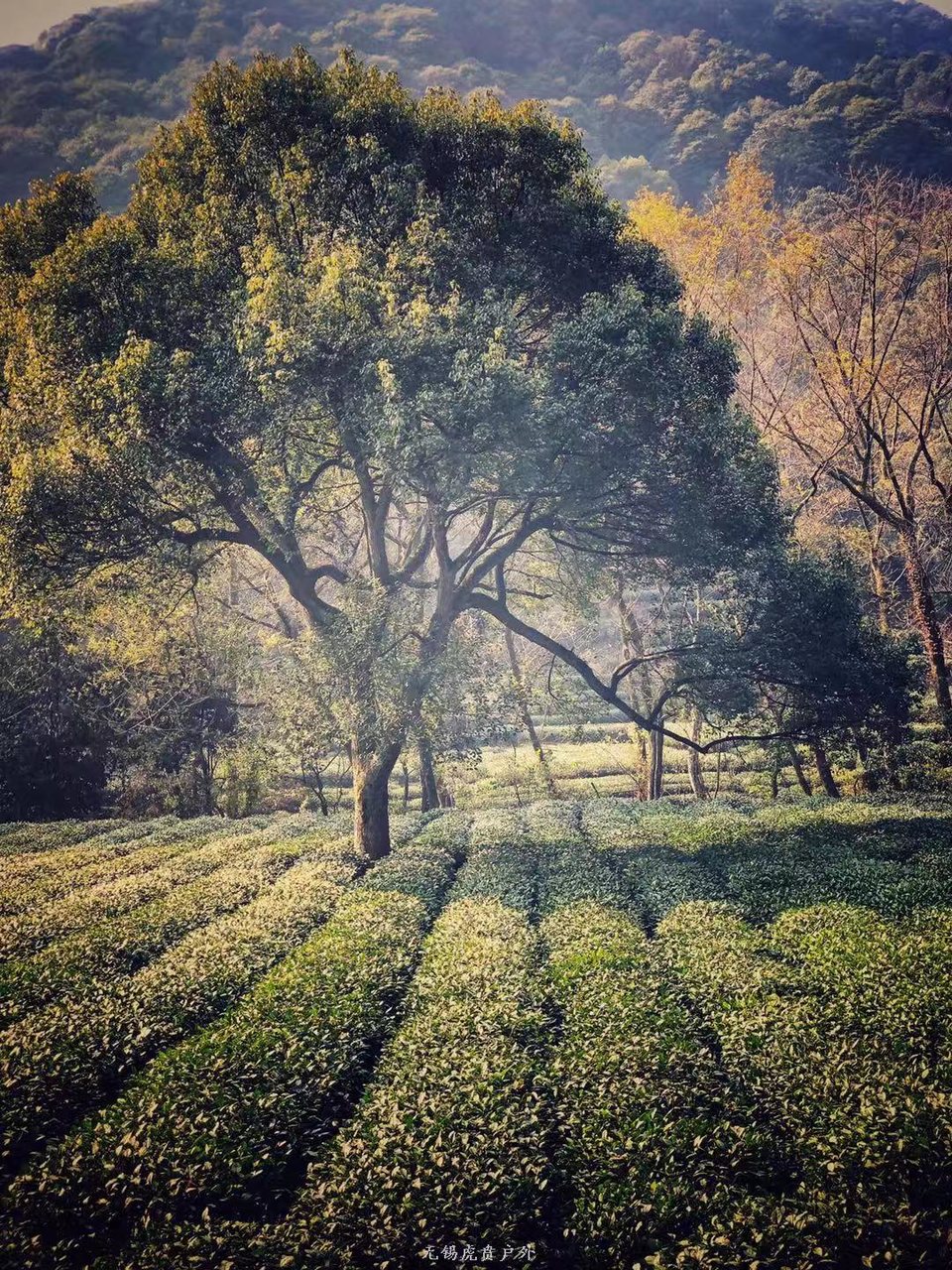 微信图片_20191215221037