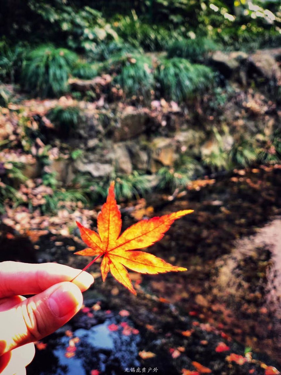 微信图片_20191215221041