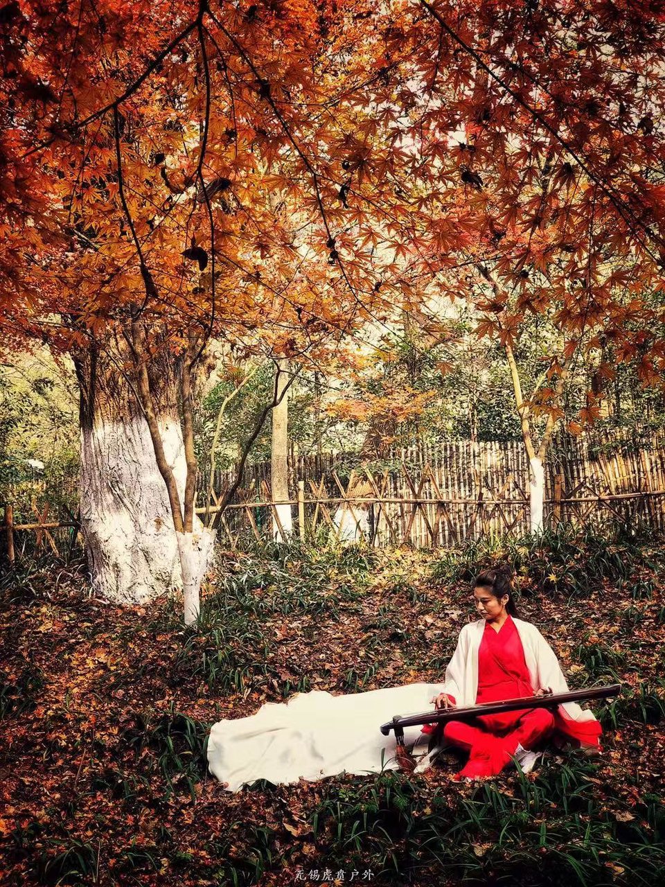 微信图片_20191215221045