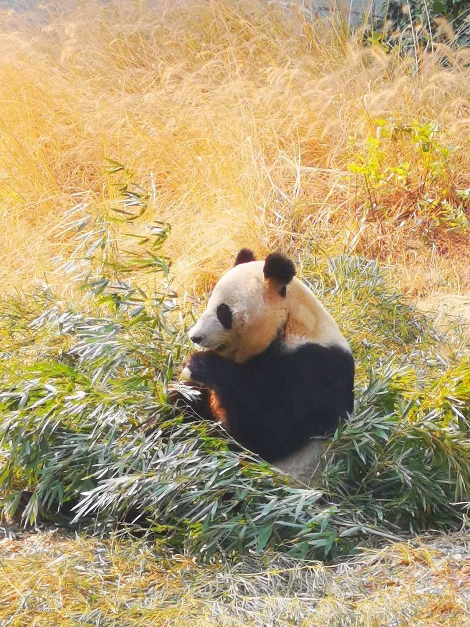 微信图片_20191215222326