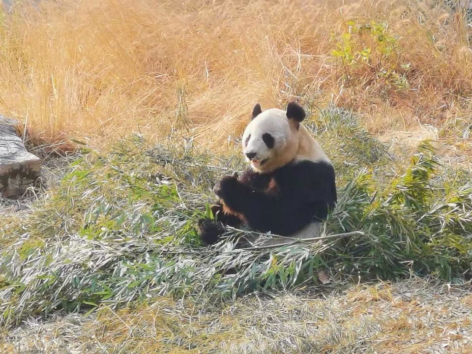 微信图片_20191215222337