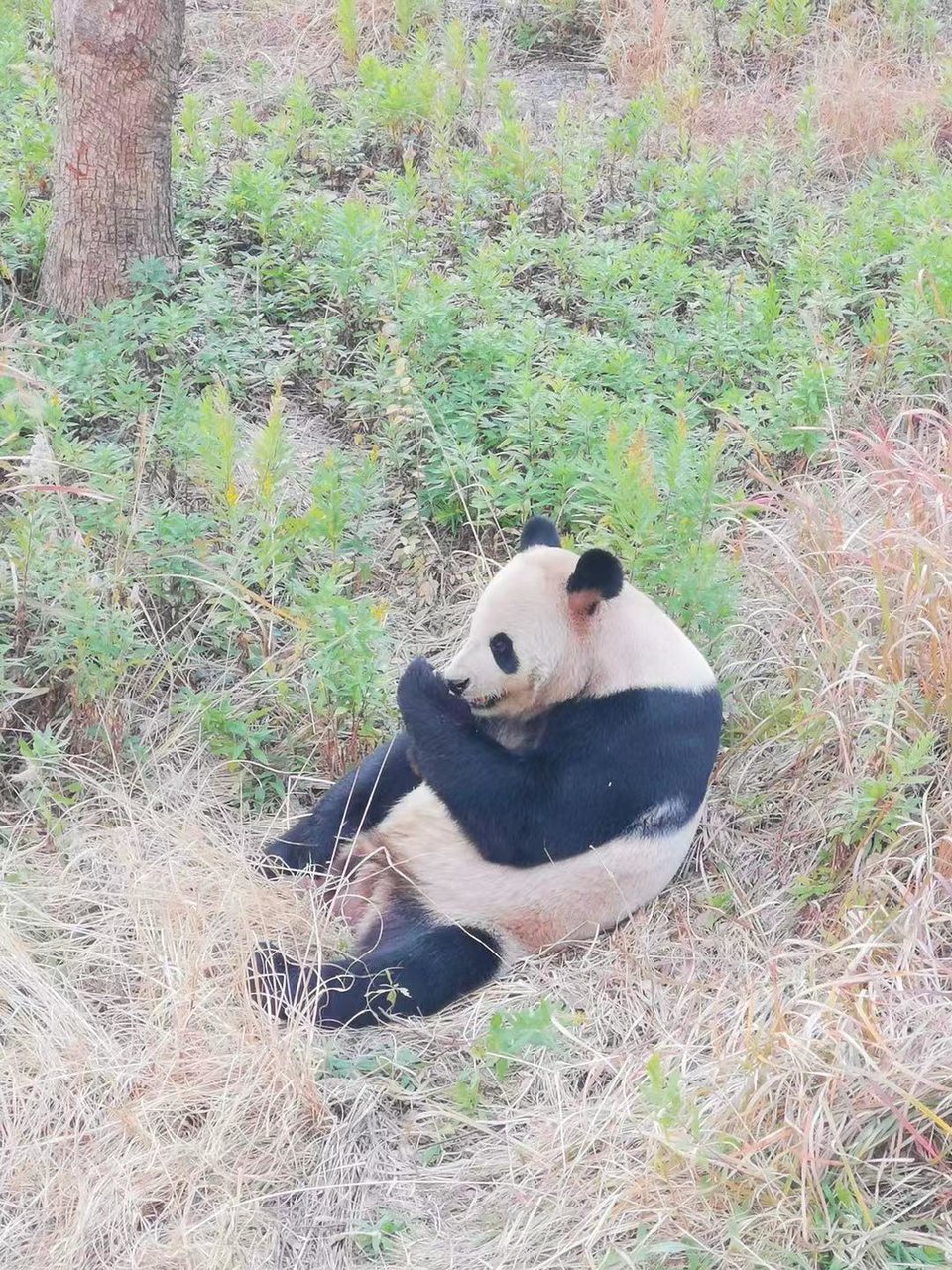 微信图片_20191215222343