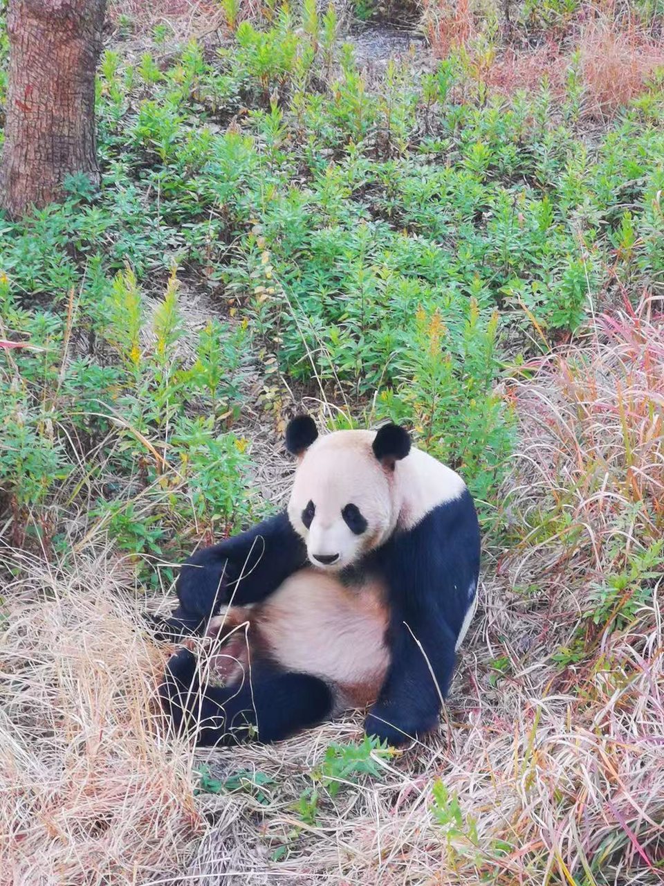 微信图片_20191215222352