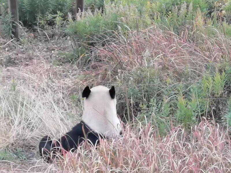 微信图片_20191215222733