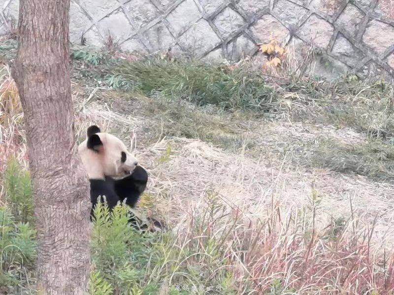 微信图片_20191215222738