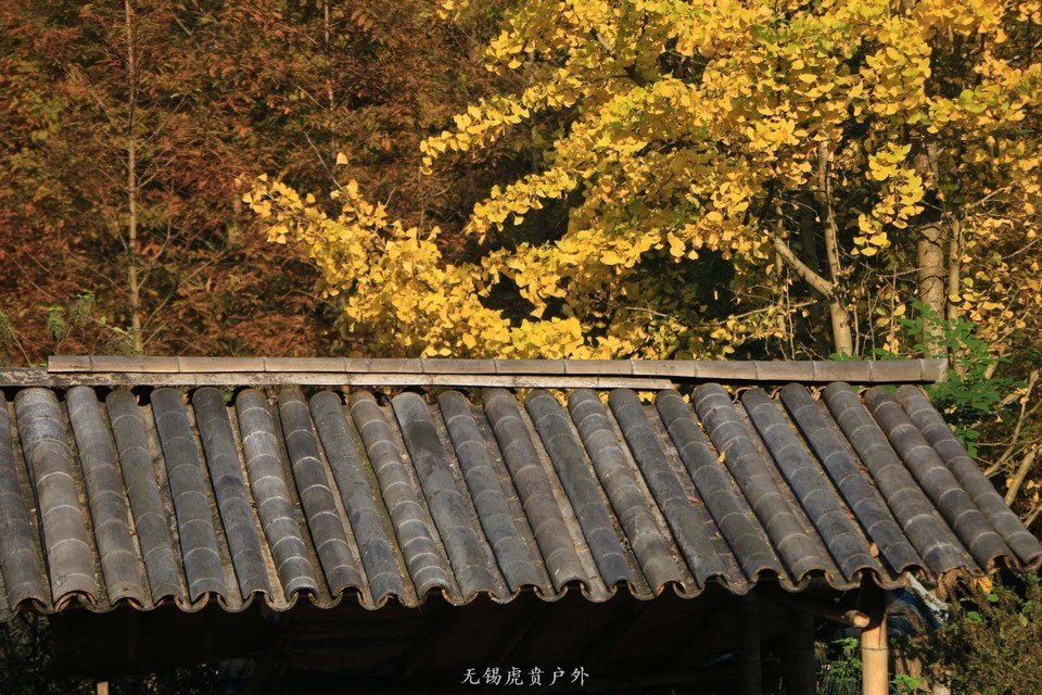 微信图片_20201109110214