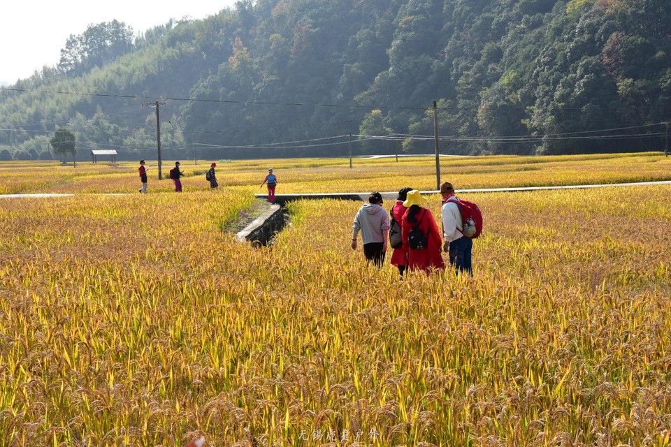 微信图片_20201109110223