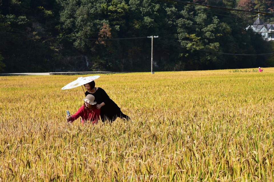 微信图片_20201109110227