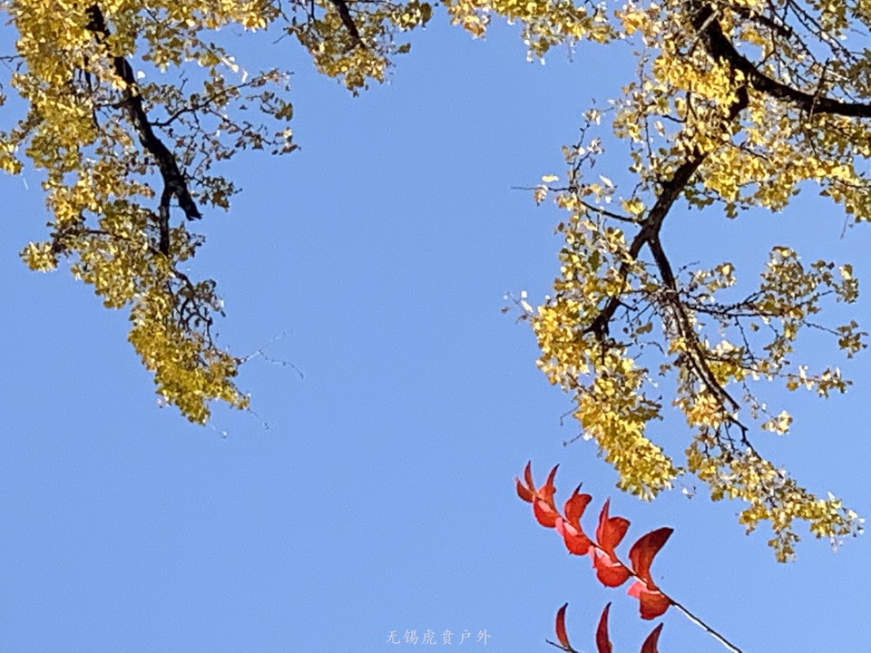 微信图片_20201109110241