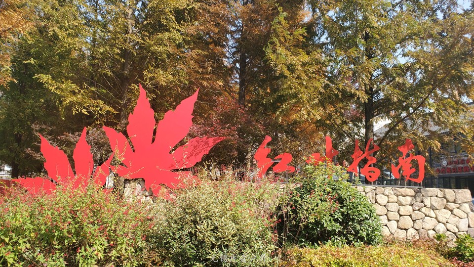 微信图片_20201109110247