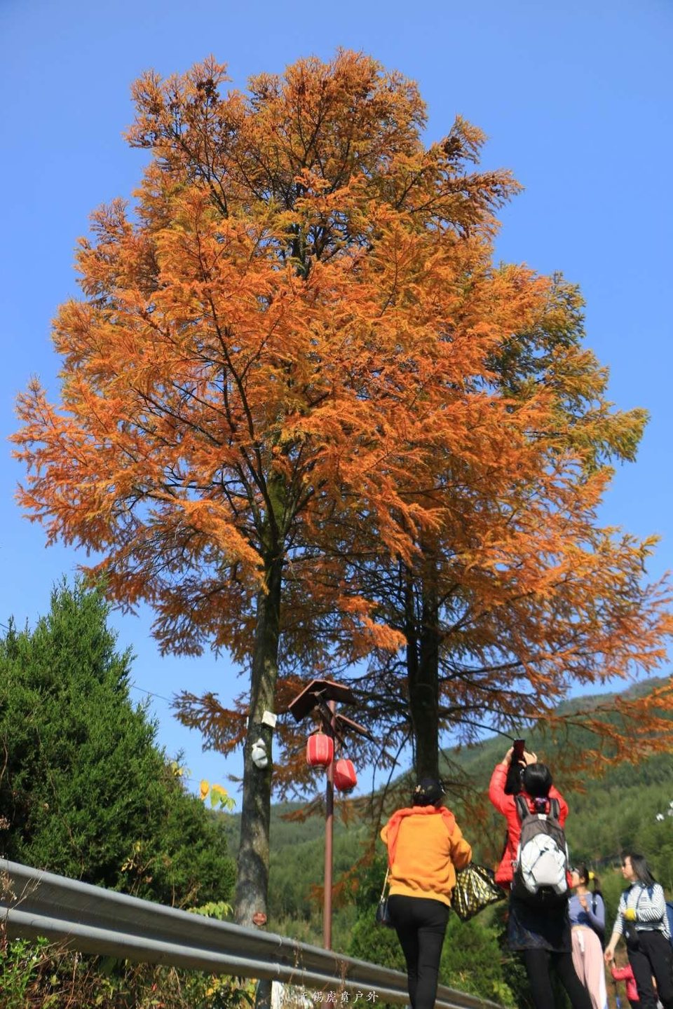 微信图片_20201109110250