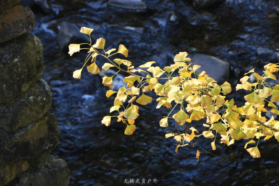 微信图片_20201109110257