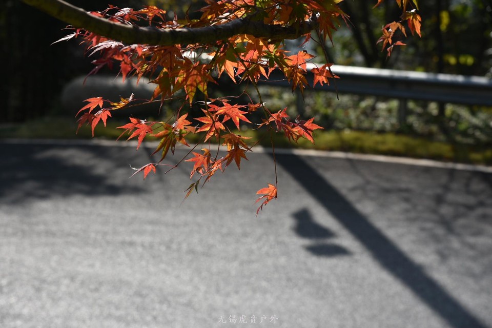 微信图片_20201109110313